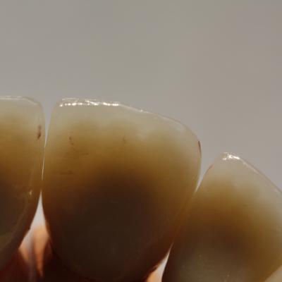 Shoji Sasaki20130424030 22