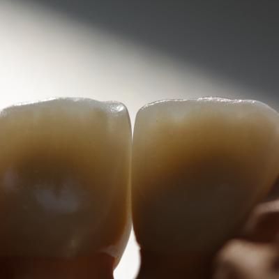 Shoji Sasaki20130424440